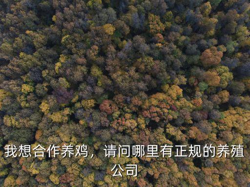 我想合作養雞，請問哪里有正規的養殖公司