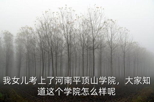 平頂山工貿學校怎么樣,平頂山學院怎么樣