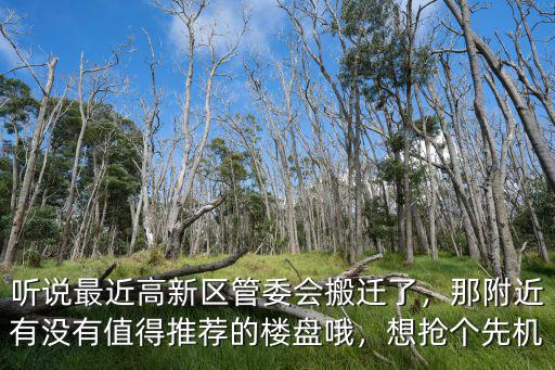 聽說最近高新區管委會搬遷了，那附近有沒有值得推薦的樓盤哦，想搶個先機