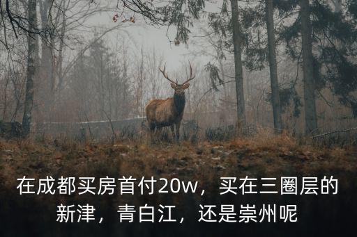 成都三圈層買房子在哪里好,買在三圈層的新津