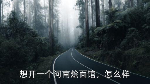 想開一個河南燴面館，怎么樣