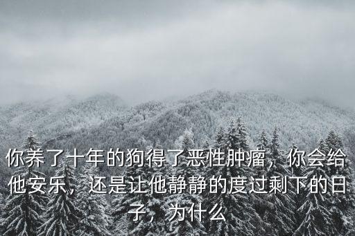 鄭州哪里給狗打安樂,你會給他安樂