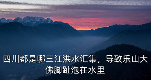 洪水淹到樂山大佛哪里了,導致樂山大佛腳趾泡在水里