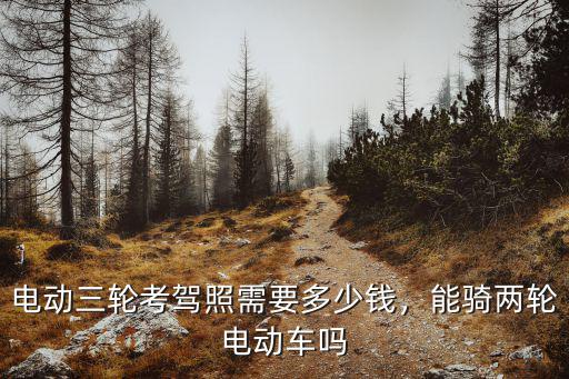 洛陽辦三輪電動車證需要交多少錢,電動三輪考駕照需要多少錢