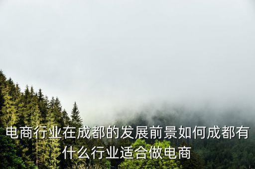 成都哪里有做電商的,成都有什么行業(yè)適合做電商