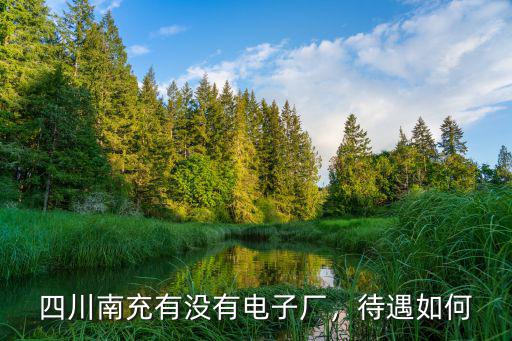 四川南充有沒有電子廠，待遇如何