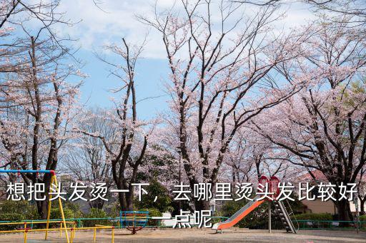 巴中哪里燙頭發(fā),去哪里燙頭發(fā)比較好一點(diǎn)呢