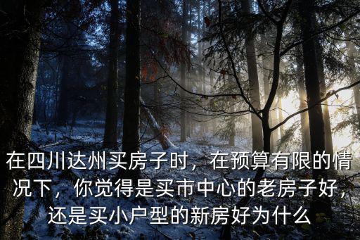 達州未來市中心在哪里,達州高鐵站修在哪里