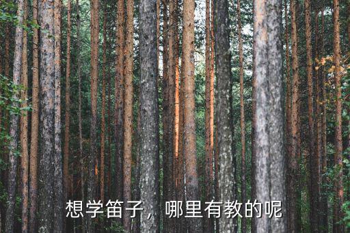 許昌哪里可以學笛子,哪里學吹笛子比較好