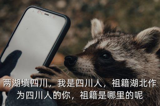 兩湖填四川，我是四川人，祖籍湖北作為四川人的你，祖籍是哪里的呢