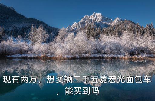 宜賓哪里有五菱宏光二手王賣,想買輛二手五菱宏光面包車