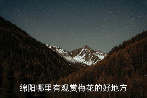 四川巴中哪里的梅花好看,綿陽哪里有觀賞梅花的好地方