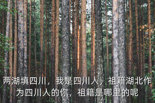 兩湖填四川，我是四川人，祖籍湖北作為四川人的你，祖籍是哪里的呢