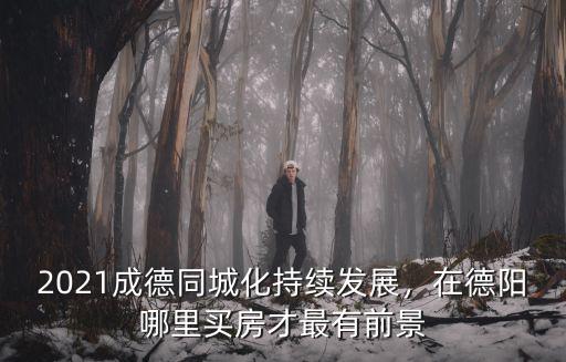 德陽城東片區在哪里,德陽的市中心在哪里