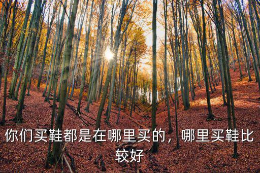自貢市哪里買懶人鞋的地方,你們買鞋都是在哪里買的