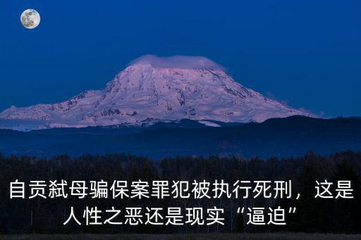 自貢弒母騙保案罪犯被執行死刑，這是人性之惡還是現實“逼迫”