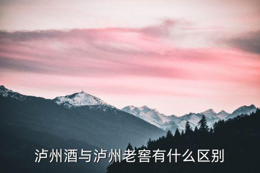 瀘州哪里有國寶酒,瀘州老窖有哪些種類