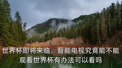 德陽(yáng)哪里可以看世界杯,世界杯直播去哪里看比較不卡