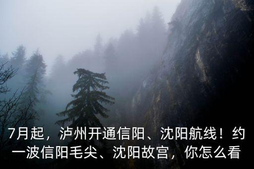 信陽中外名酒城怎么樣,信陽消費水平在河南怎么樣