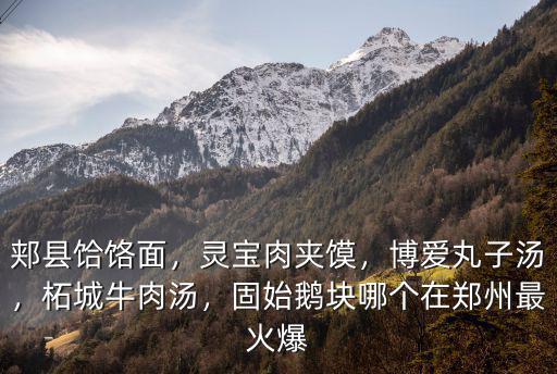 郟縣哪里有信陽固始鵝塊,請問有固始鵝塊的做法嗎