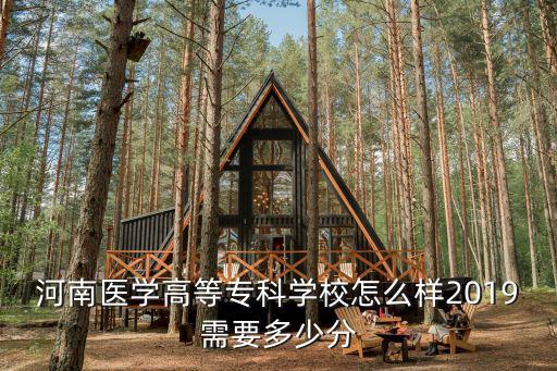 河南省最好的專科學校多少分,2019需要多少分