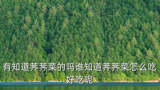 有知道薺薺菜的嗎誰知道薺薺菜怎么吃好吃呢