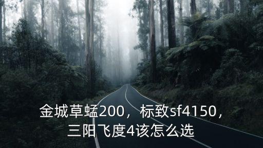 金城草蜢200，標(biāo)致sf4150，三陽飛度4該怎么選
