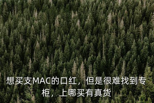 德陽哪里買口紅好,想買支MAC的口紅