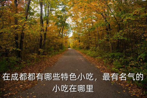 成都有名的小吃在哪里,最有名氣的小吃在哪里