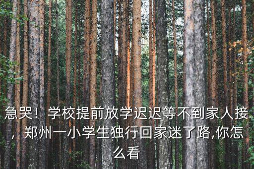 鄭州小學(xué)生多少人,鄭州一小學(xué)生獨(dú)行回家迷了路