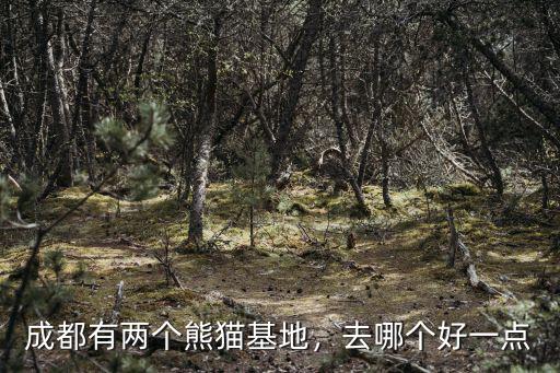 成都看熊貓去哪里是哪個(gè)區(qū),去哪個(gè)好一點(diǎn)