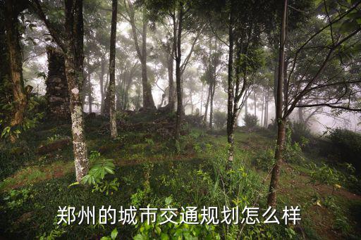 鄭州未來路面怎么樣了,鄭州高新區發展前景怎么樣