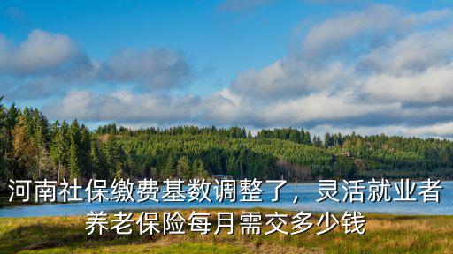 河南省養老保險個人承擔多少,個人交養老保險合適嗎