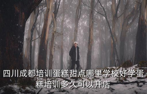 成都翻糖蛋糕培訓(xùn)哪里好,成都西點(diǎn)師培訓(xùn)哪家好