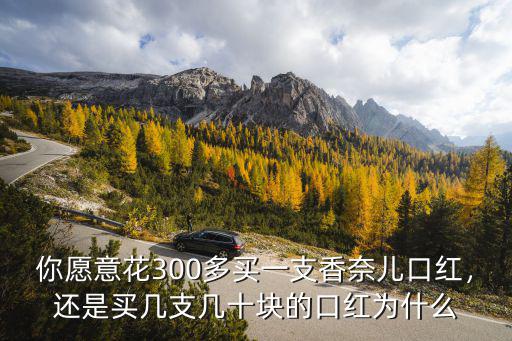 瀘州哪里有賣香奈兒口紅的,哪里可以買到正品香奈兒口紅