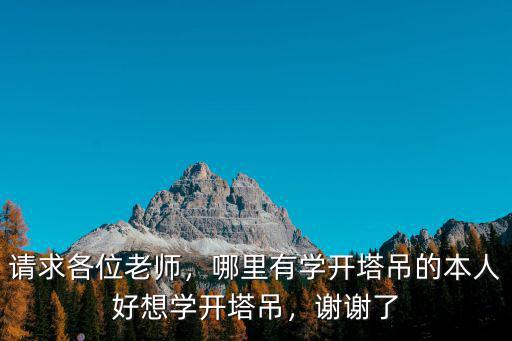 四川蒼溪有學開塔吊在哪里學,哪里有學開塔吊的