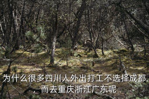 去四川打工哪里好,最近打算去那里打工