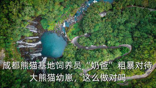 成都熊貓基地飼養(yǎng)員“奶爸”粗暴對(duì)待大熊貓幼崽，這么做對(duì)嗎