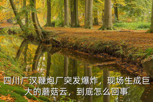四川廣漢鞭炮廠突發(fā)爆炸，現(xiàn)場(chǎng)生成巨大的蘑菇云，到底怎么回事