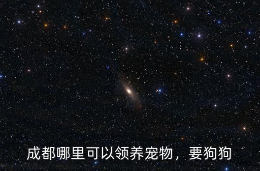成都哪里可以領(lǐng)養(yǎng)寵物，要狗狗