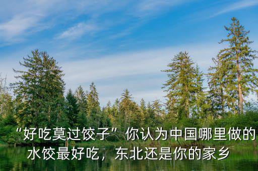 “好吃莫過餃子”你認為中國哪里做的水餃最好吃，東北還是你的家鄉