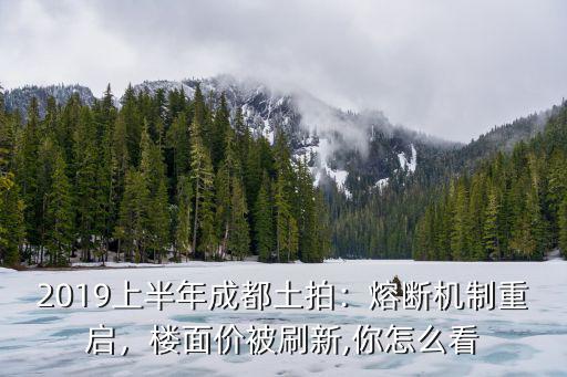 2019上半年成都土拍：熔斷機制重啟，樓面價被刷新,你怎么看