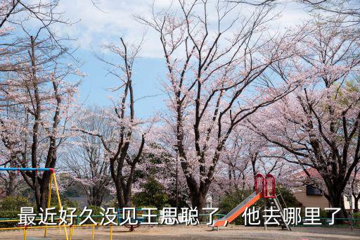 王思聰在四川哪里,萬達在大連的總部在哪里