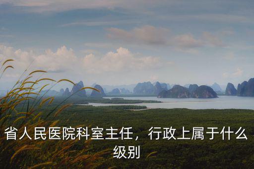 省人民醫(yī)院科室主任，行政上屬于什么級(jí)別