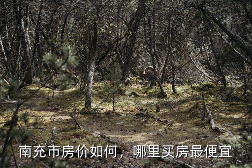 南充房價哪里好,南充市房價如何