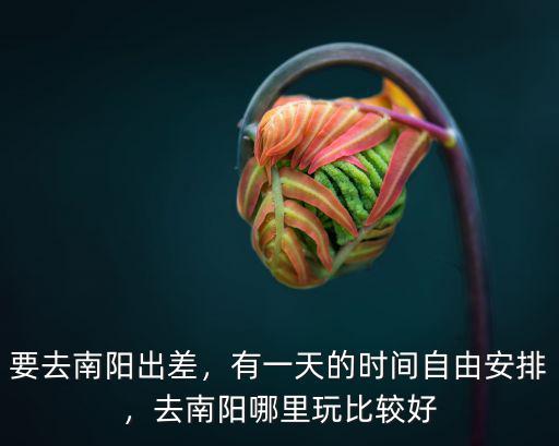 要去南陽出差，有一天的時間自由安排，去南陽哪里玩比較好