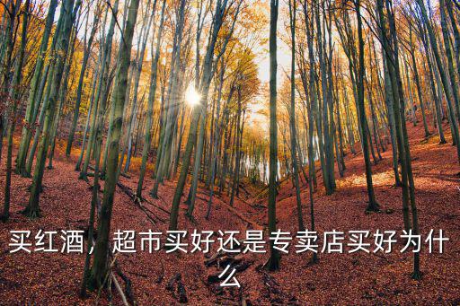 成都去哪里買紅酒比較好,在哪里買紅酒比較放心