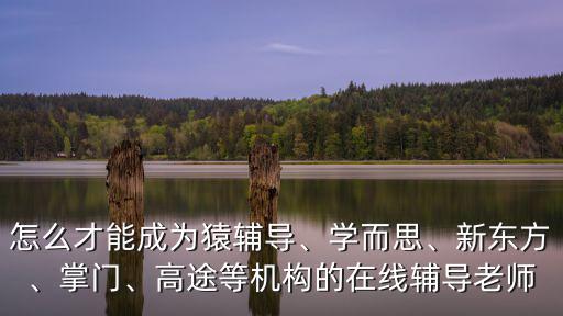 怎么才能成為猿輔導、學而思、新東方、掌門、高途等機構的在線輔導老師