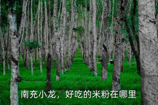 南充小龍，好吃的米粉在哪里