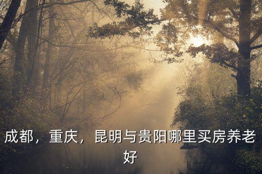 成都，重慶，昆明與貴陽哪里買房養老好